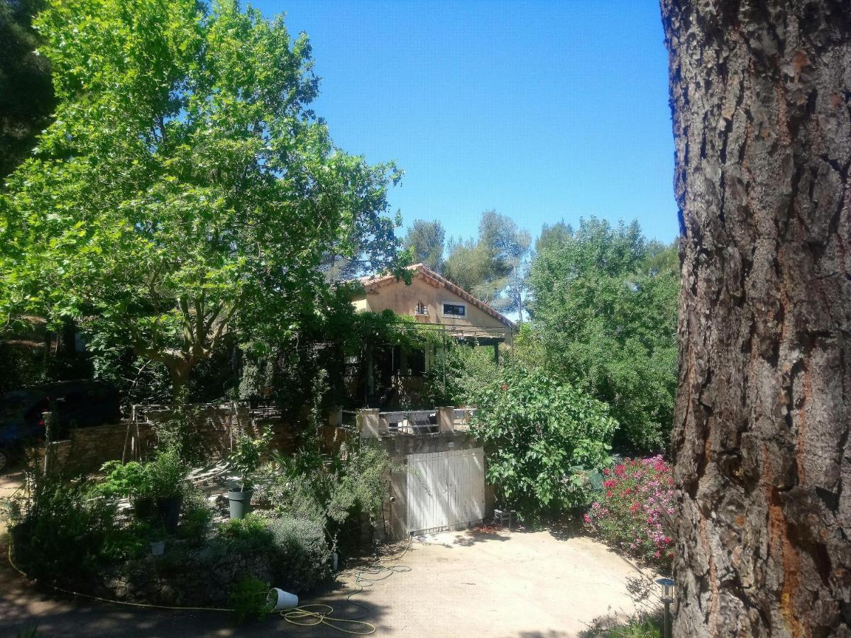 Maison De Charme Avec Piscine Et Jacuzzi Dans Cadre Exceptionnel Proche Marseille Mirabeau Exteriör bild